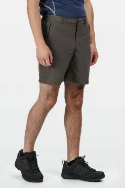 Regatta Grey Leesville II Lightweight Shorts