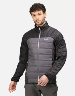 Regatta Mens Halton V Lightweight Insulated Padded Jacket