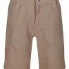 Regatta Brown Delgado Shorts -Regatta Shop C41141s