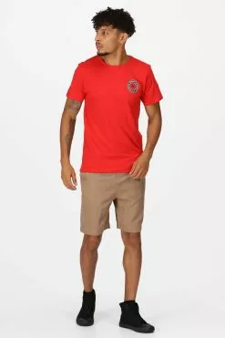 Regatta Etonbury Brown Shorts