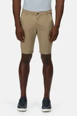 Regatta Brown Sandros Shorts