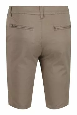 Regatta Brown Sandros Shorts -Regatta Shop U65869s6
