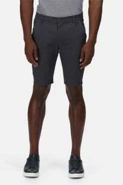 Regatta Grey Sandros Shorts